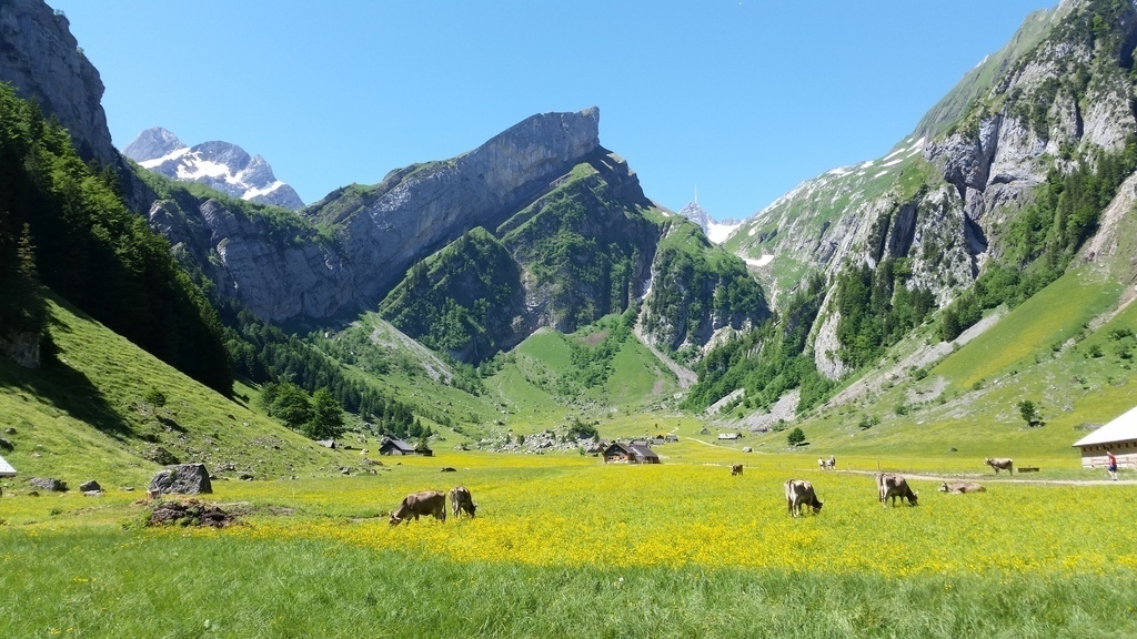Appenzellerland