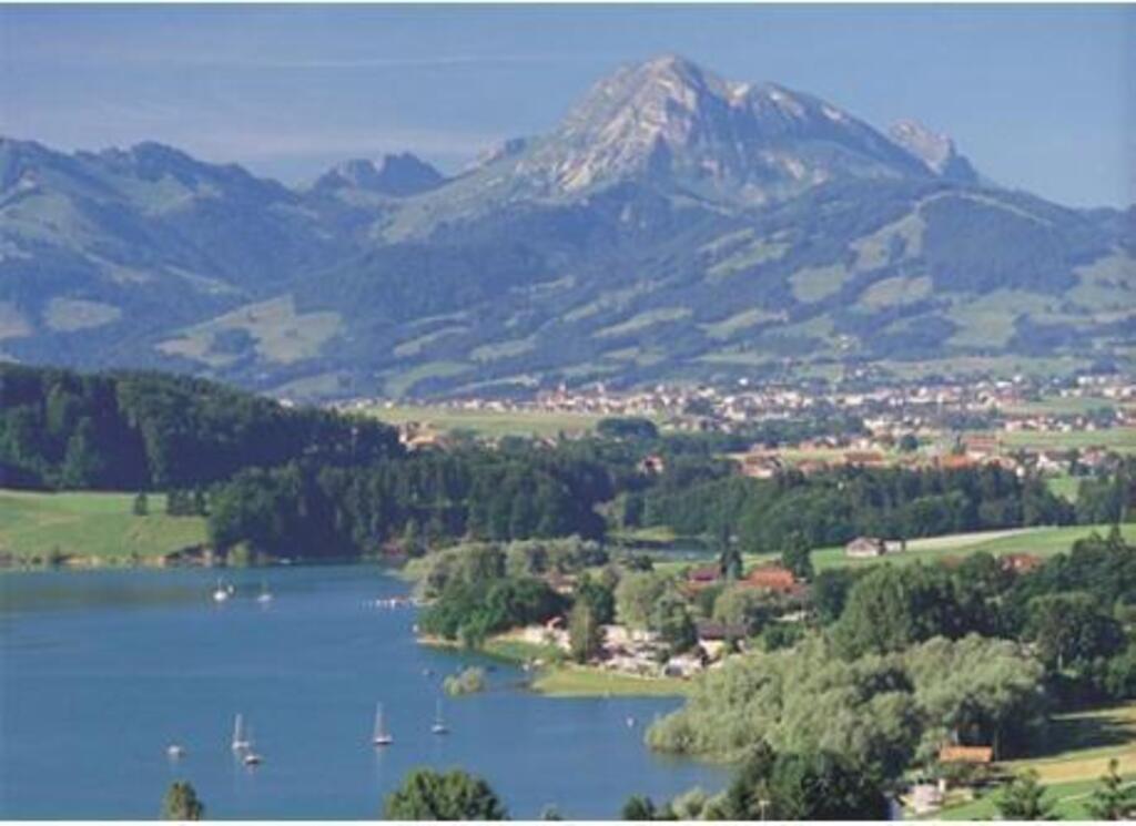 Lac de la Gruyère et le Moléson
