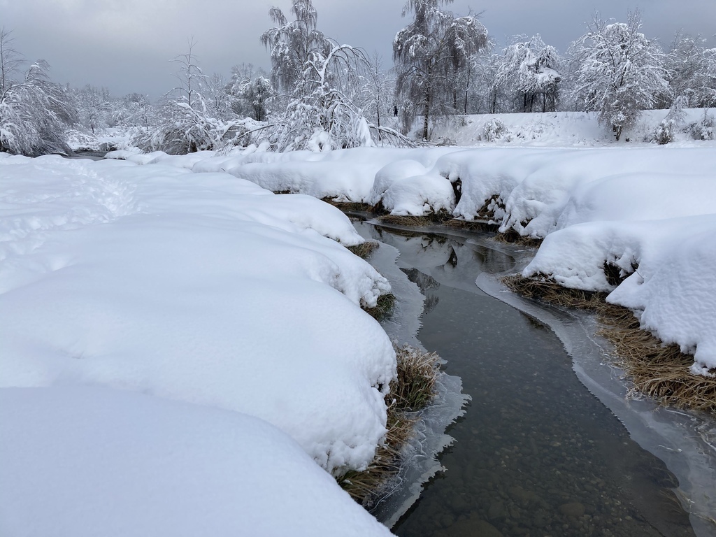 Die Allmend im Winter - soviel Schnee ist eher selten.