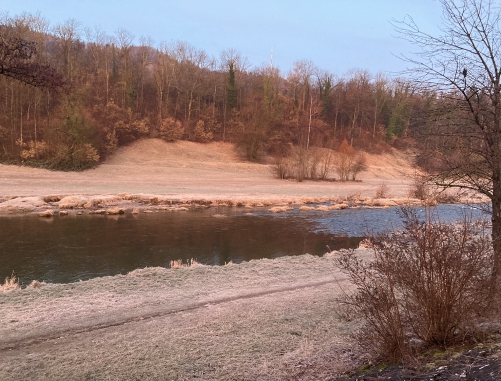 Spazierwege entlang der Sihl durch die Allmend - 10 Min. zu Fuss von der Haustüre weg.