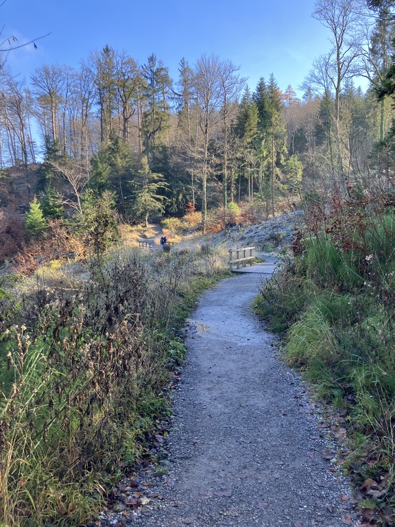 Wanderweg auf dem Uetliberg.