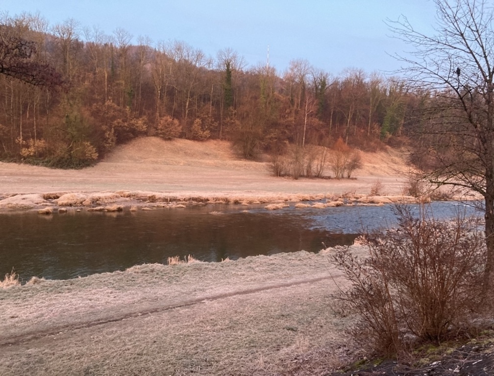 Spazierwege entlang der Sihl durch die Allmend - 10 Min. zu Fuss von der Haustüre weg.