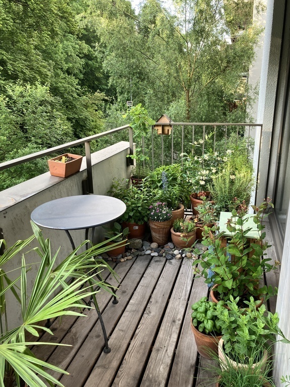 Balkon im Frühsommer