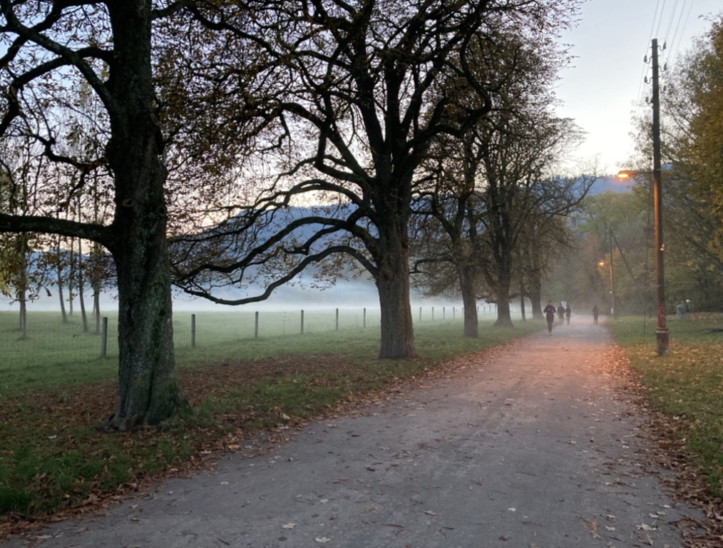 Radweg in die City - die Allmend eignet sich auch zum spazieren, joggen, picknicken.
