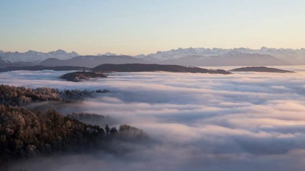 Nebelmeer vom Albis, eine Wanderung von der Haustüre weg.