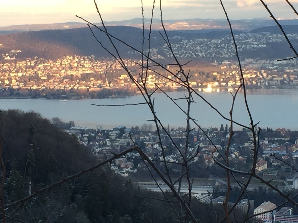 Aussicht vom Uetliberg auf Stadt und See - zu jeder Jahreszeit phantastisch.