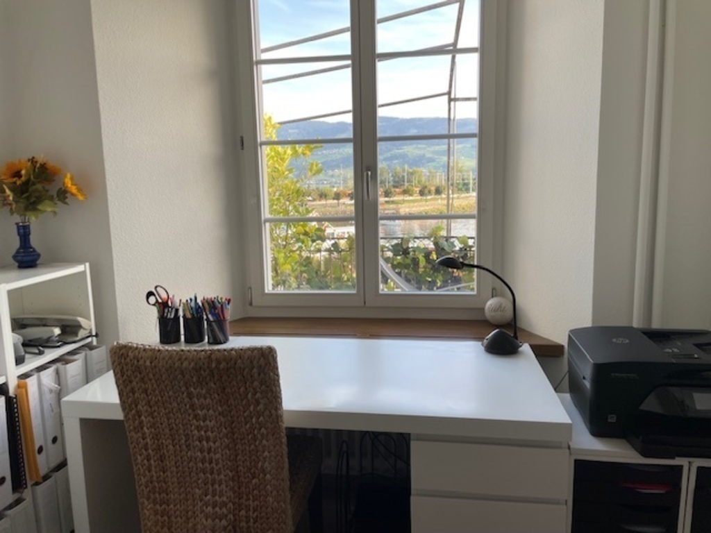 Guestroom with office