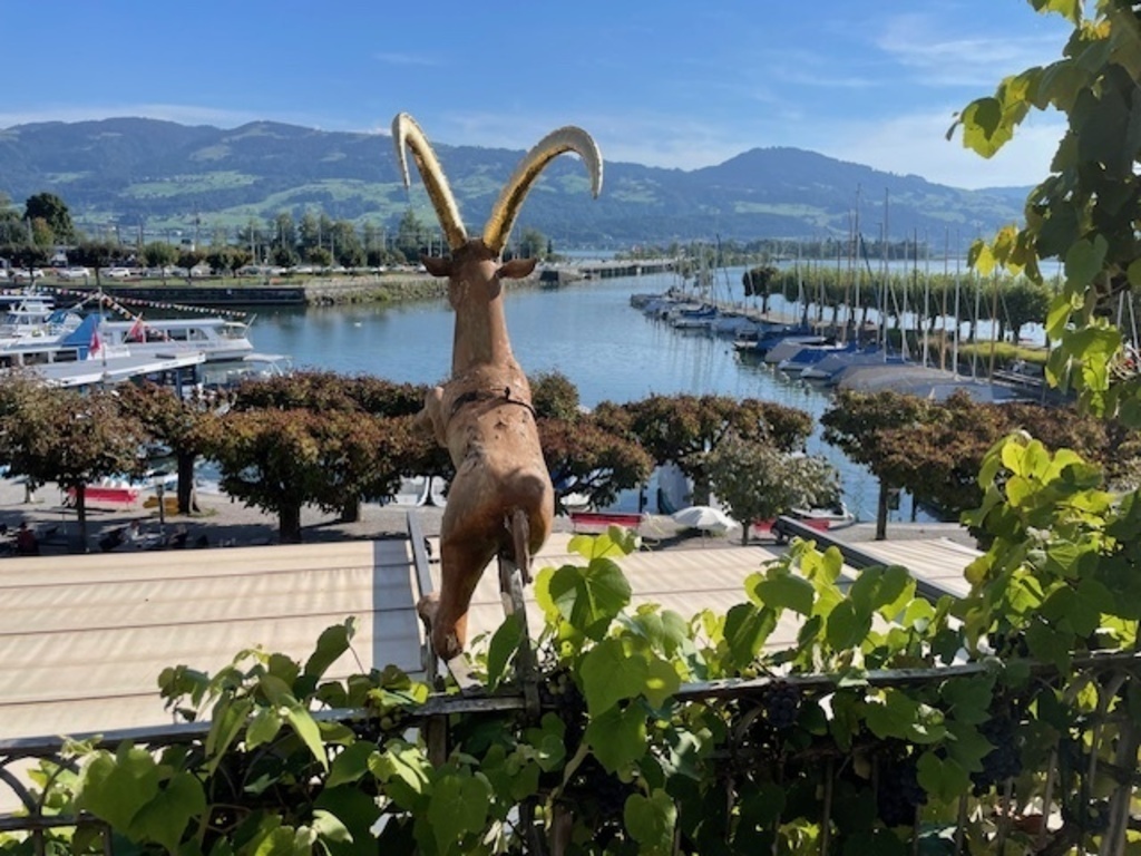 View from our terrace