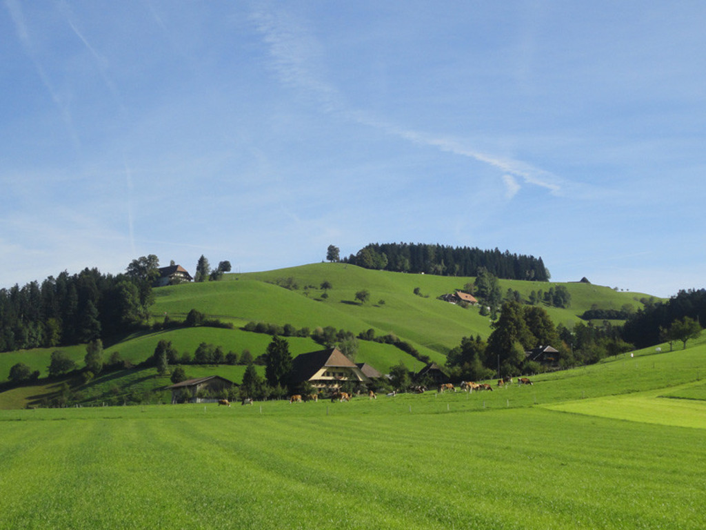 Emmental is next to my door