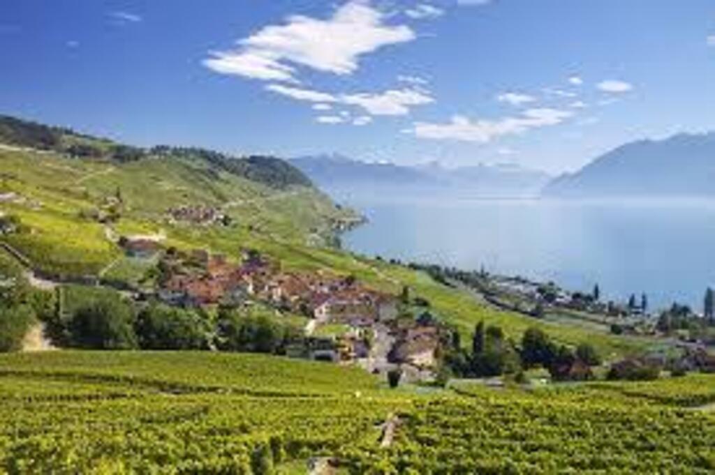 Le Lavaux, ses vignes, protégé par le patrimoine de l'Unesco
