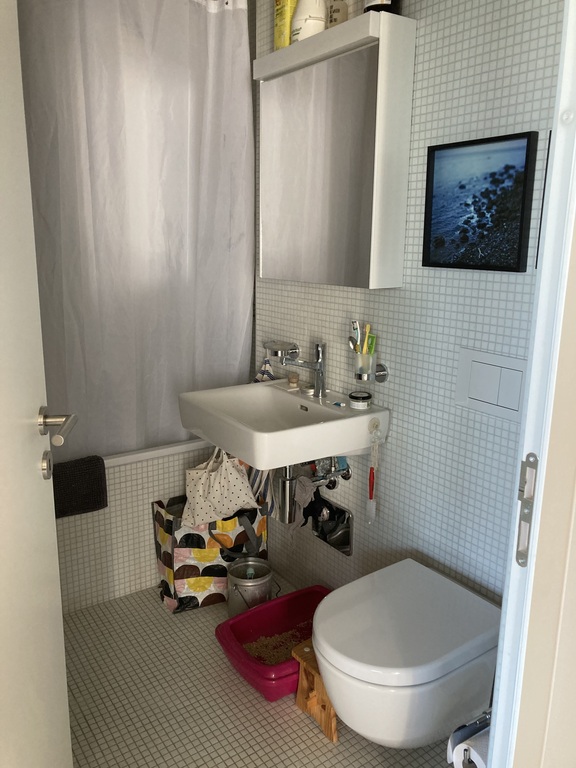 Salle de bain avec baignoire
