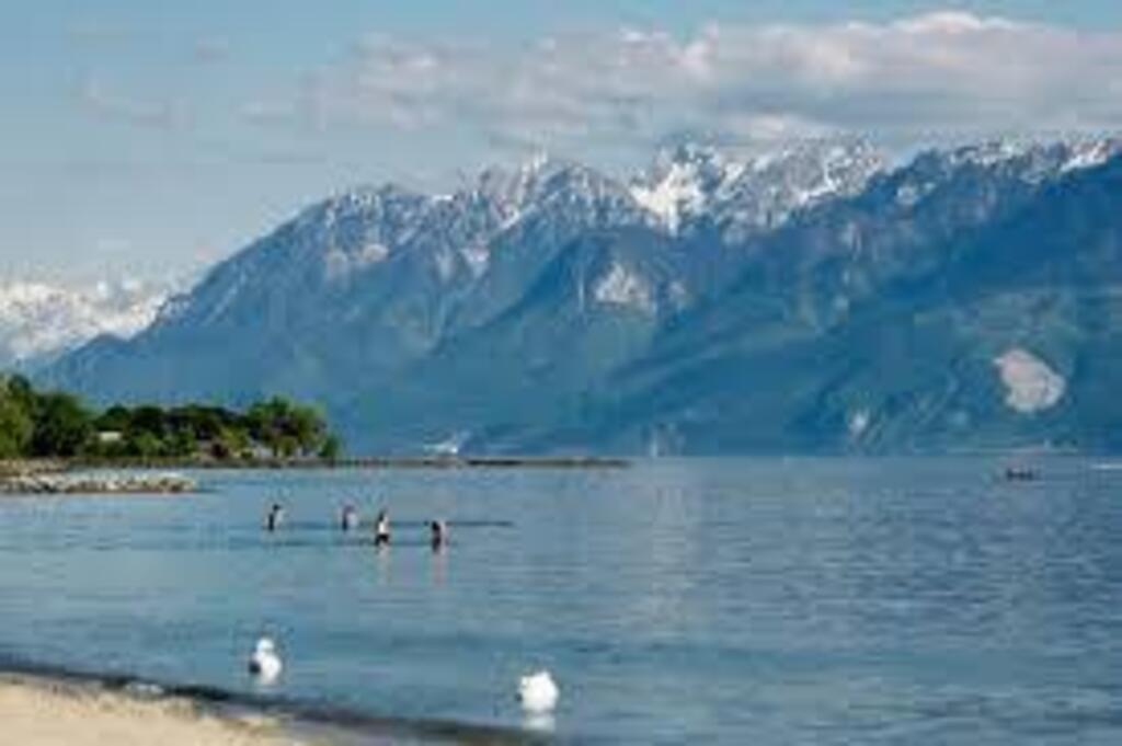 Vidy et son bord du lac