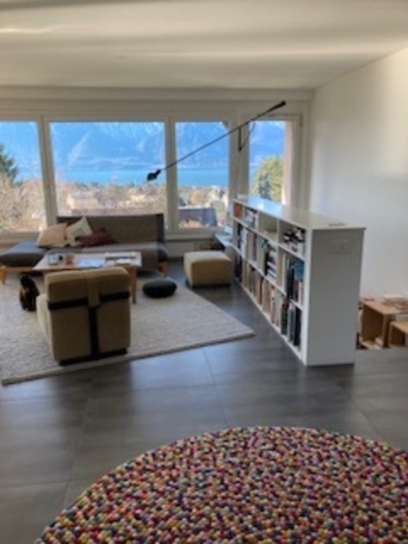 Salon : vue depuis l'entrée