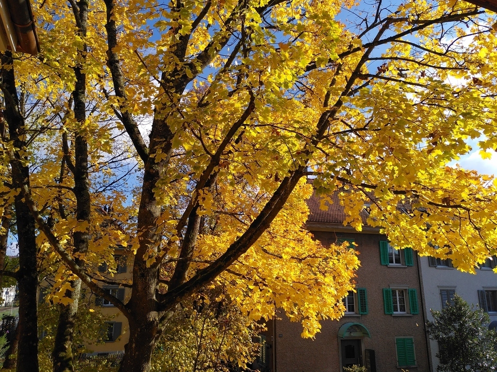 View from the kitchen