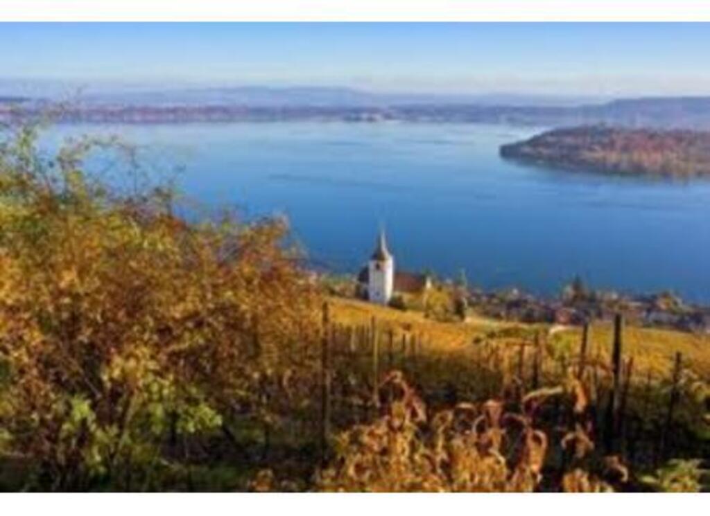 view from Ligerz at the lake