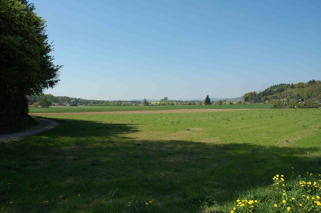 A walk into the green