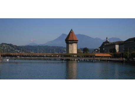 Lucerne - 12 km from the house