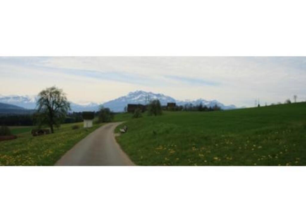 a lot of places to wander around