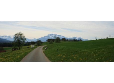 a lot of places to wander around