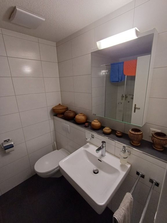 Shower and toilet