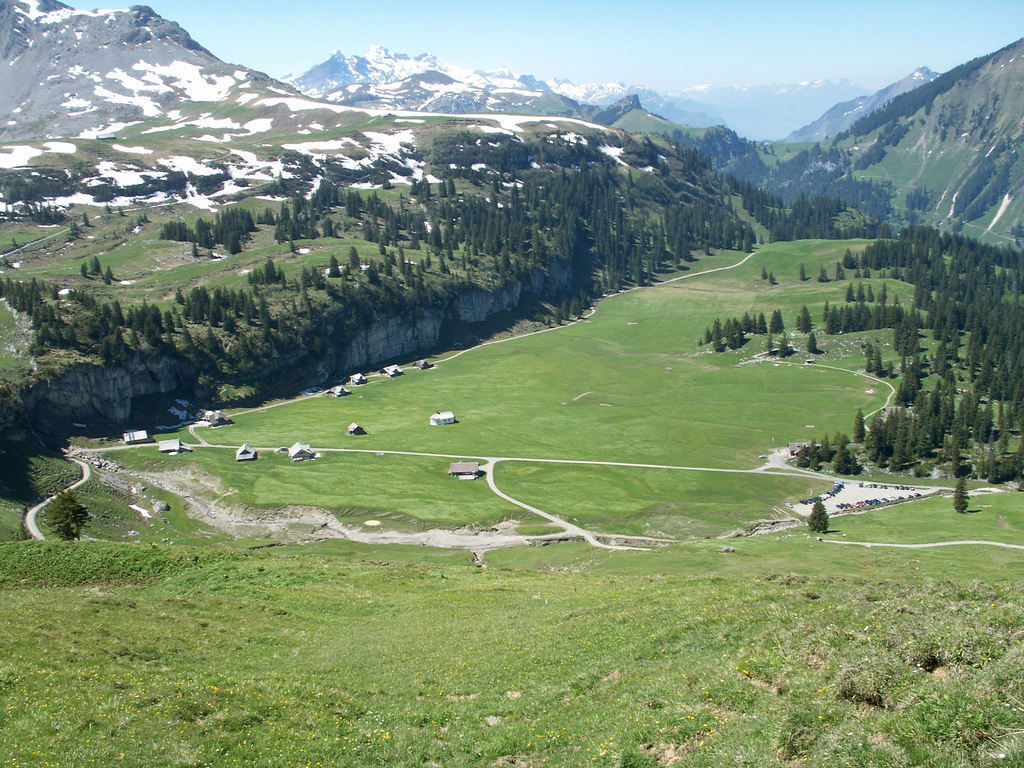 Älggialp