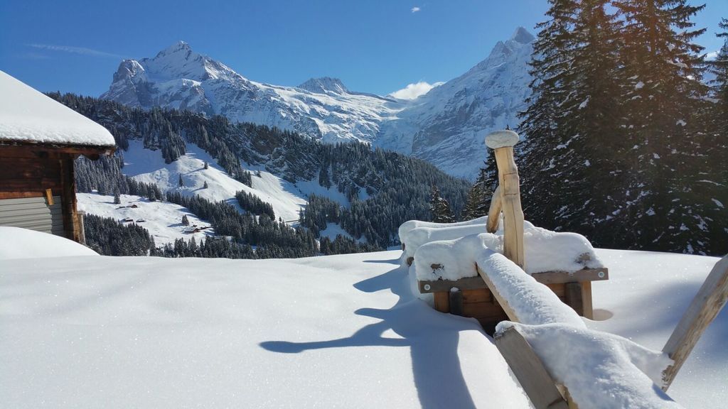 Bussalp --> Bort - Grindelwald