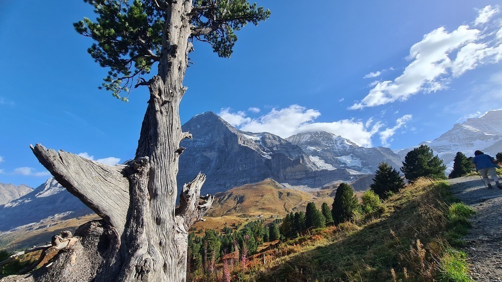 Romantikweg Grindelwald Männlichen