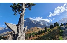 Romantikweg Grindelwald Männlichen
