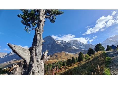 Romantikweg Grindelwald Männlichen