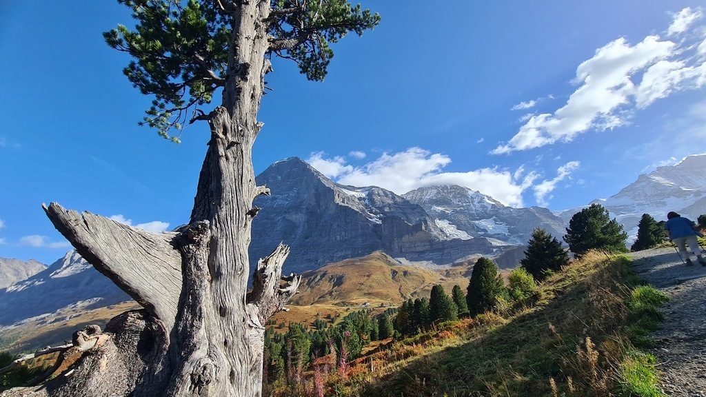 Romantikweg Grindelwald Männlichen