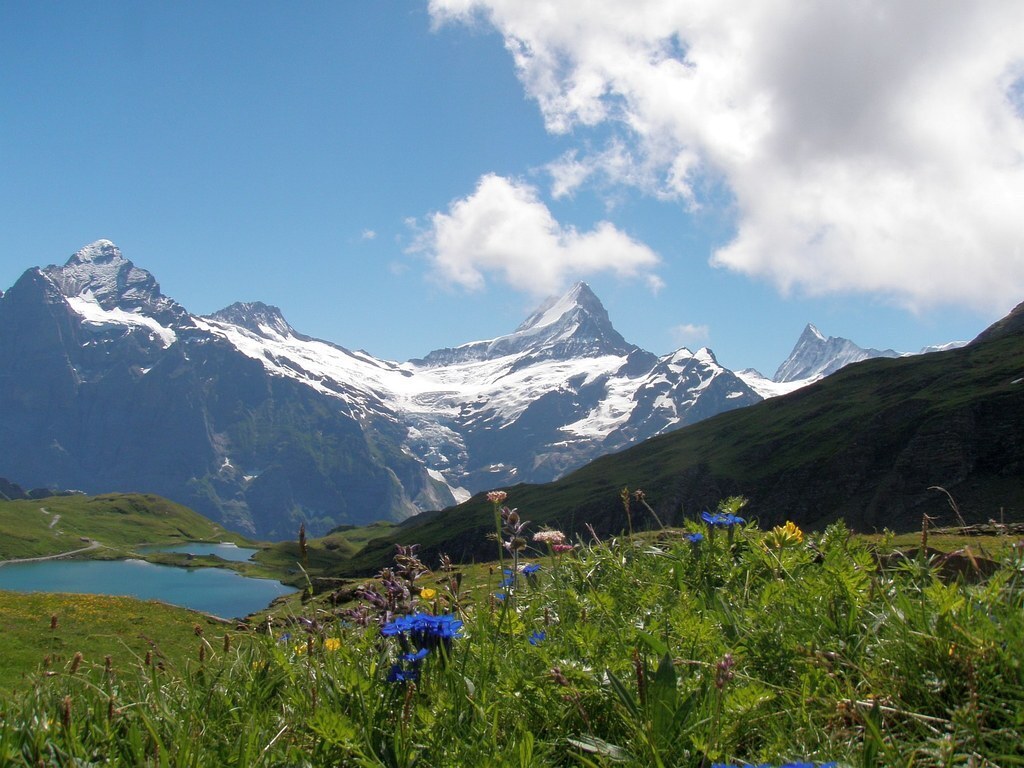 Grindelwald Bachalpsee