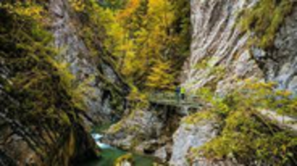 hiking close to Gruyères / randonnée aux alentours de Gruyères
