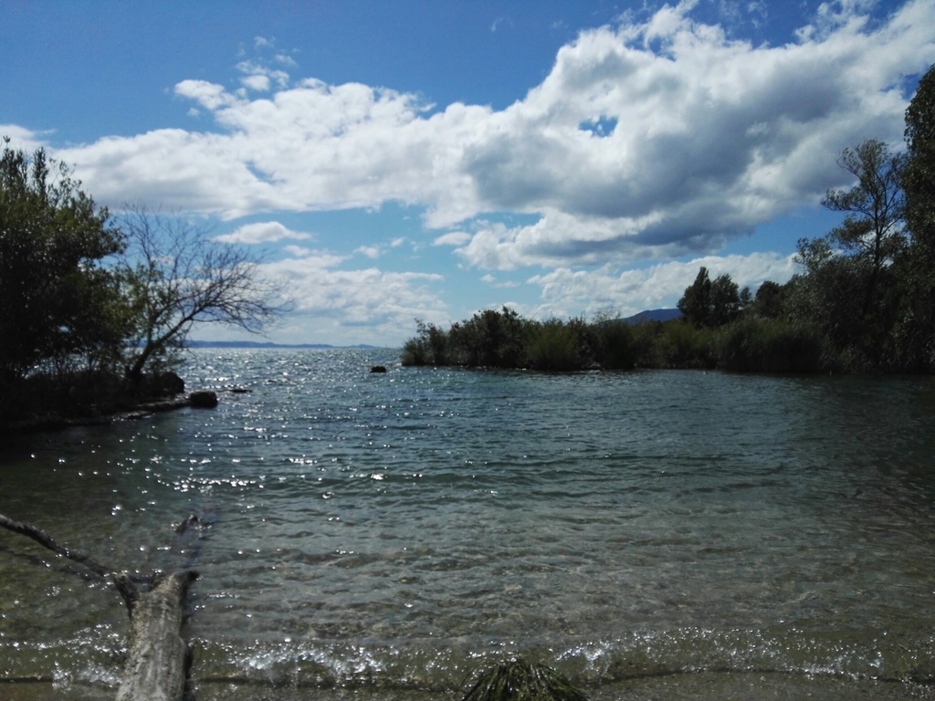Lac de Neuchâtel (45 minutes by train/car)