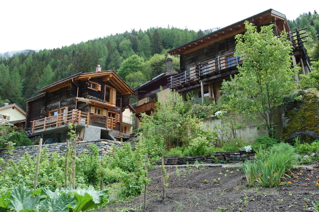 Vue depuis le bas du jardin