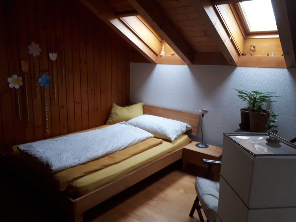Gemütliches Schlafzimmer mit Dachfenster