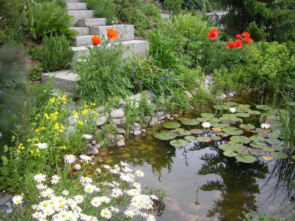 Der Sitzplatz beim Teich lädt zum Verweilen und Träumen ein! 