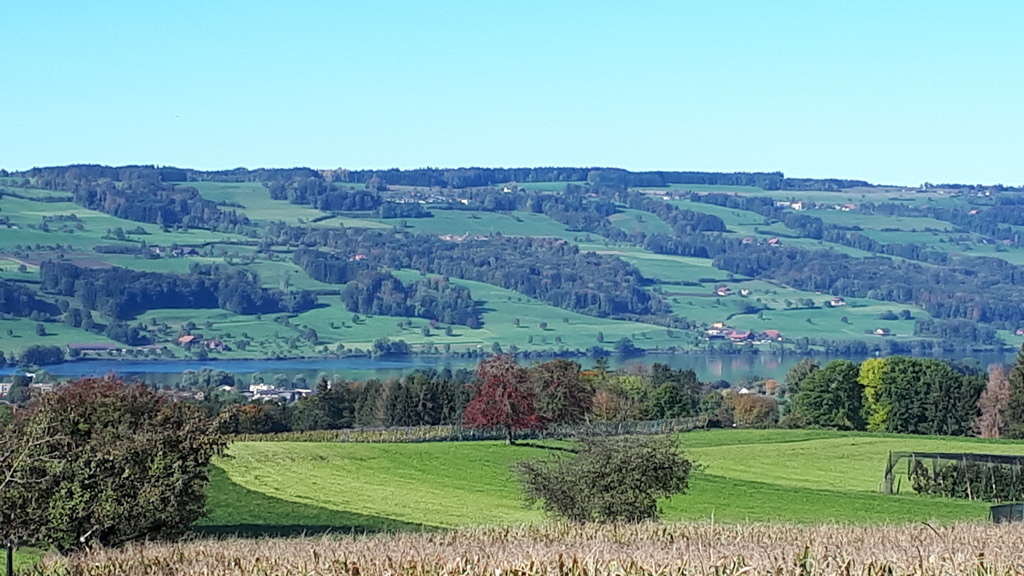 Blick von unserem Haus auf das Seetal und den Baldeggersee