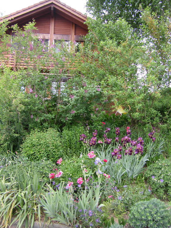 Wir sind sehr natur- und pflanzenliebend, entsprechend ist unser Garten gestaltet