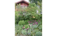 Wir sind sehr natur- und pflanzenliebend, entsprechend ist unser Garten gestaltet