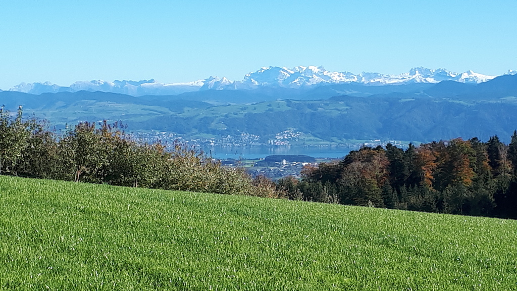 Fantastische Fernsicht in die Alpen