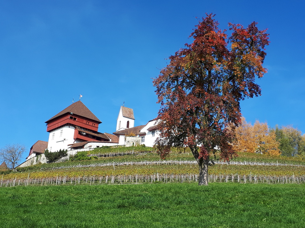 Die Johanniterburg - ein markanter Aussichtspunkt im Dorf Hohenrain 