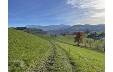 On a walk in the neighborhood of the house.