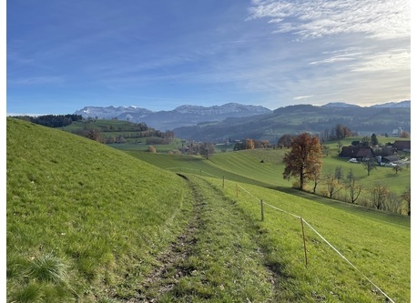 On a walk in the neighborhood of the house.