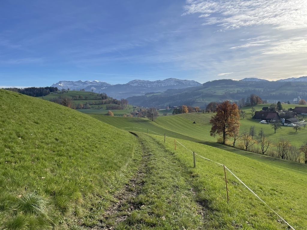 On a walk in the neighborhood of the house.