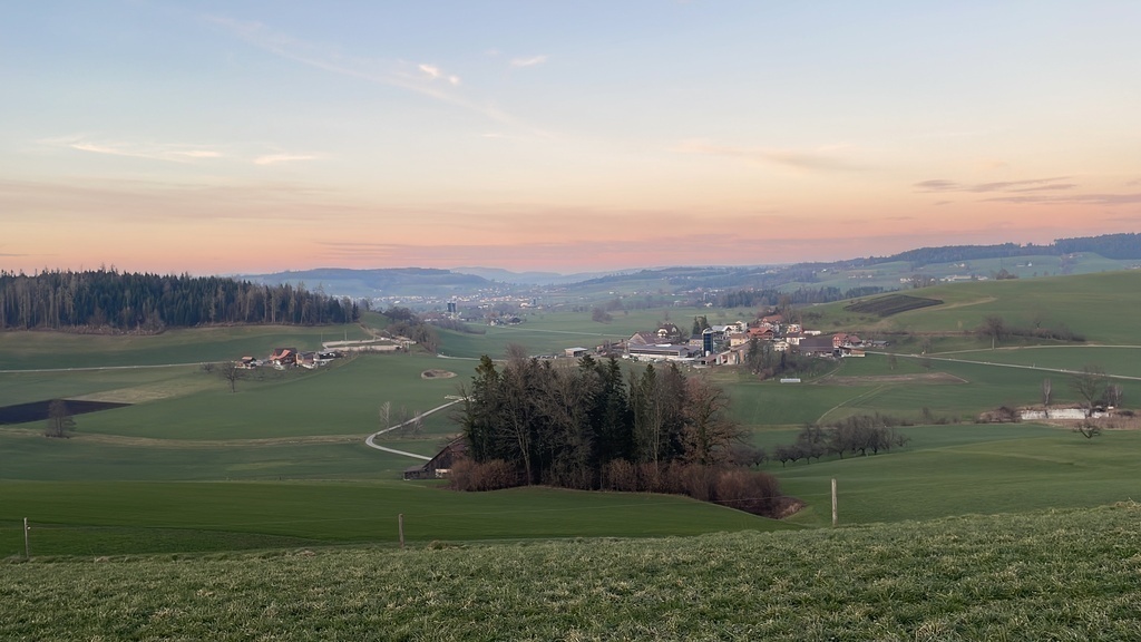 On a walk in the neighborhood of our house.