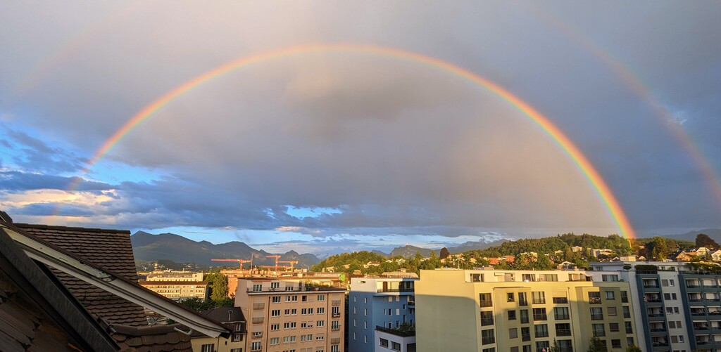 View from the skylight in the living room