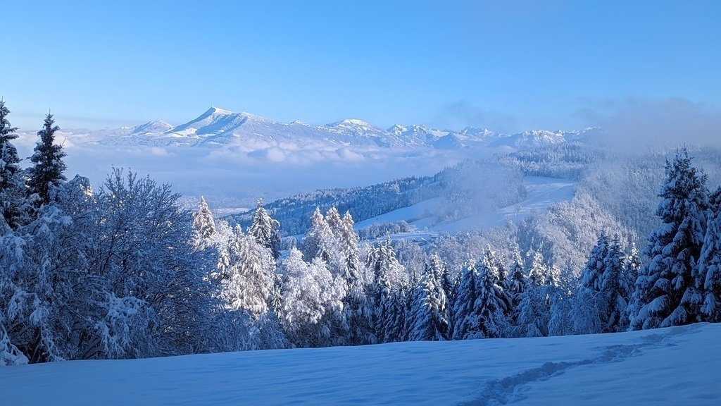 Walk and sledging trip in nearby Eigenthal