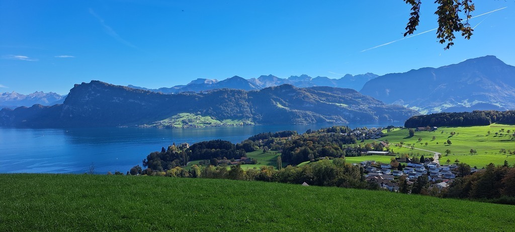 View from our nearest forest (20 min walk) to Bürgenstock