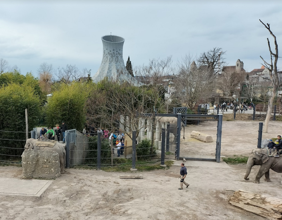 Knies Kinderzoo in Rapperswil SG am Zürichsee (40 min mit ÖV / 60 min mit Auto)