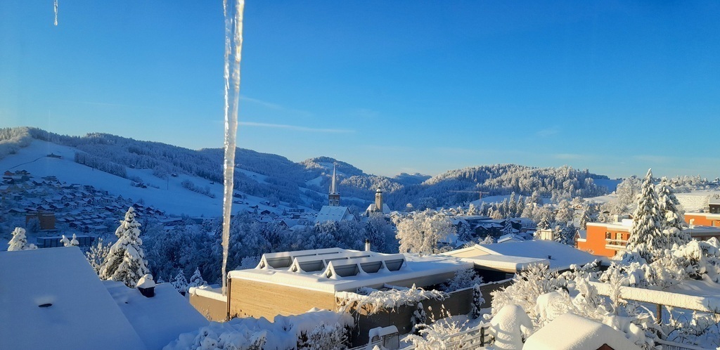Blick aus Wohnzimmer im Winter
